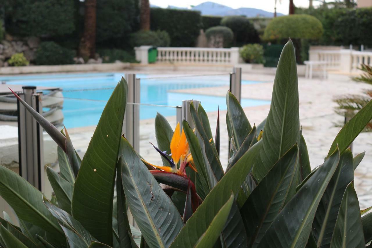 Appartement Palm D'Azur Cannes Bagian luar foto